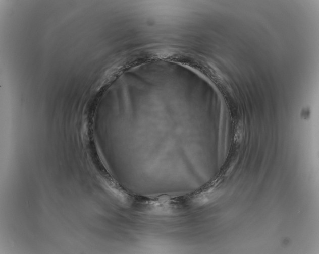 X0000090770524200708172110