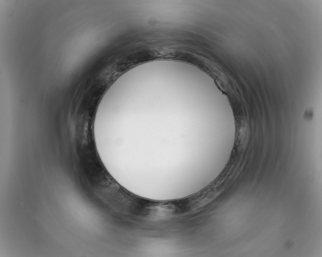 X0000090770525200708172110