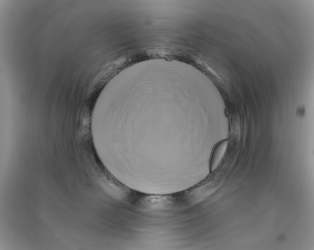 X0000090770526200708172110