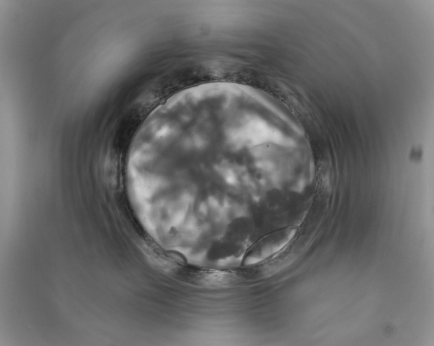 X0000090770527200708172110