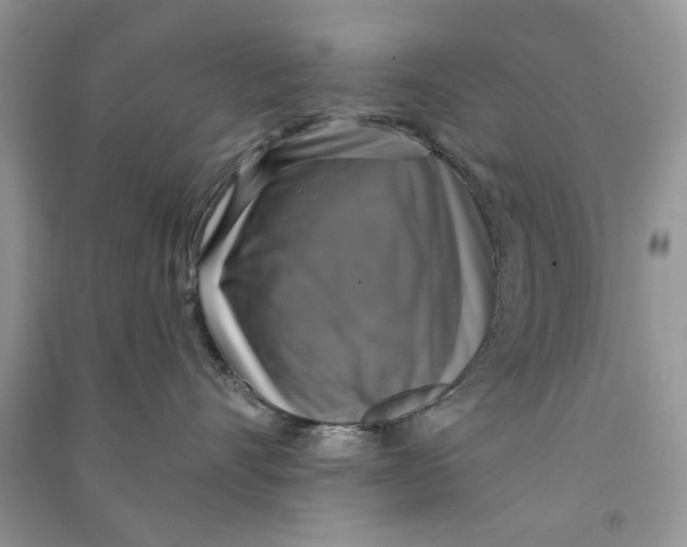 X0000090770528200708172110