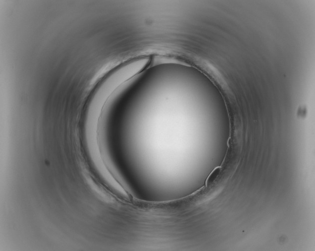 X0000090770530200708172109