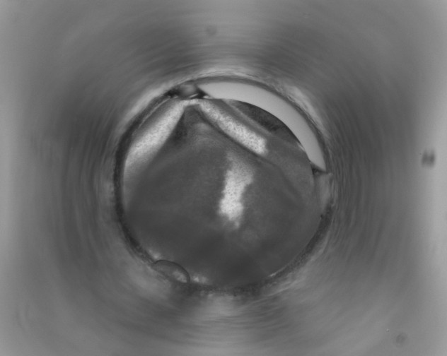 X0000090770531200708172109