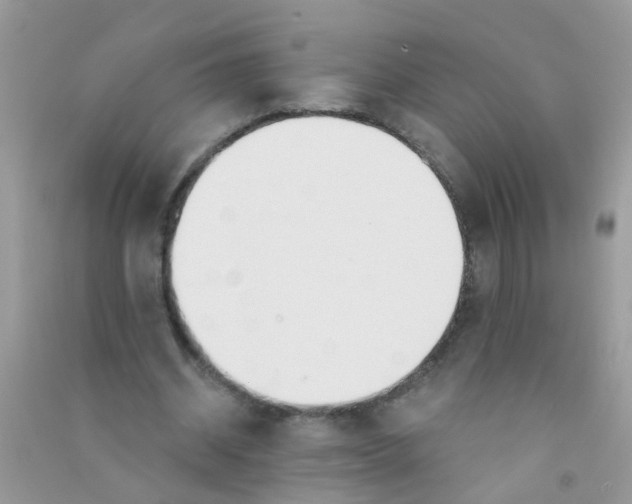 X0000090770534200708172110