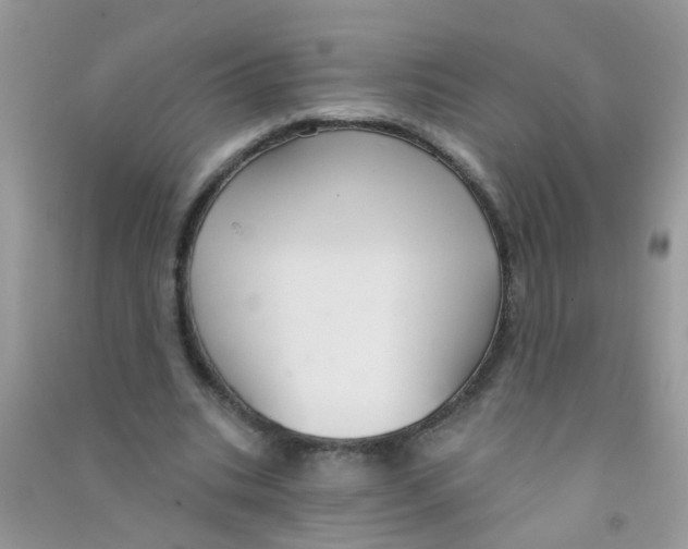 X0000090770535200708172110