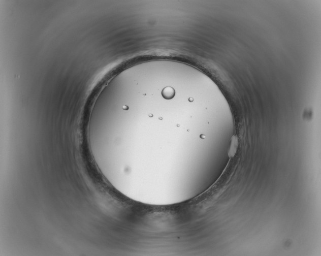 X0000090770536200708172110