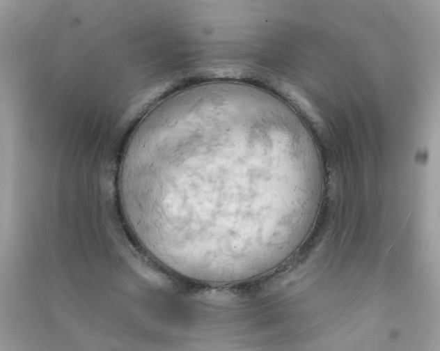X0000090770537200708172110