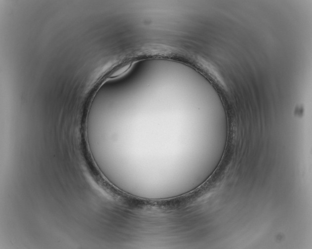 X0000090770538200708172110