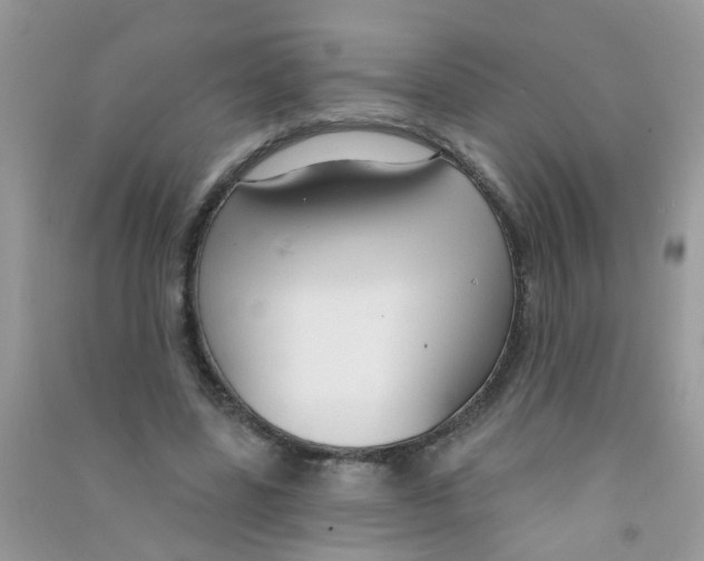 X0000090770539200708172110