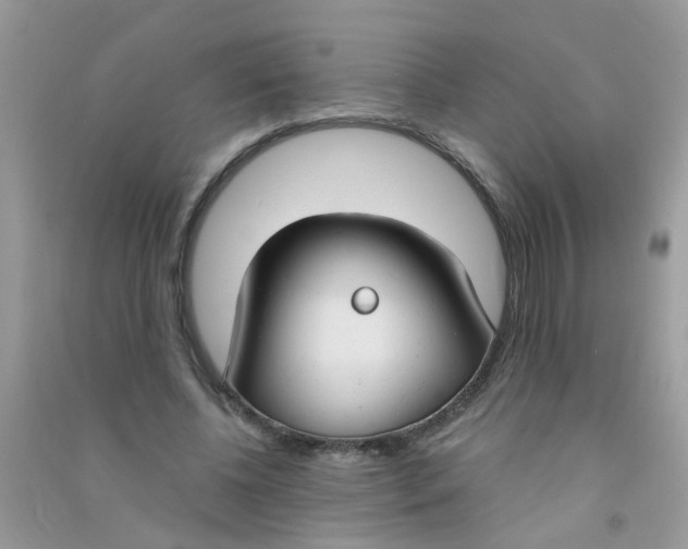 X0000090770540200708172110
