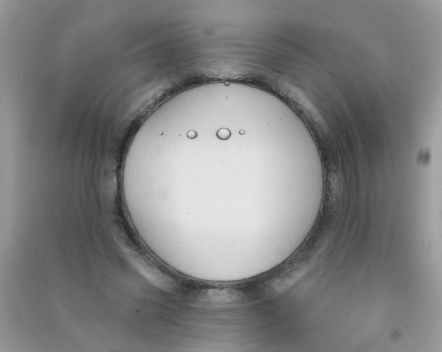 X0000090770541200708172110