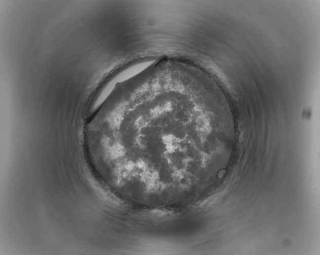 X0000090770542200708172110
