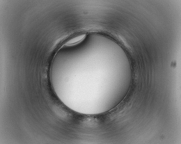 X0000090770543200708172110