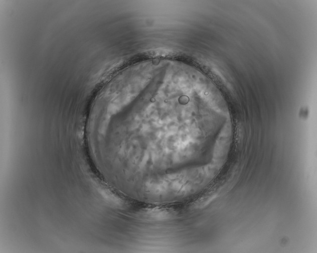 X0000090770545200708172110