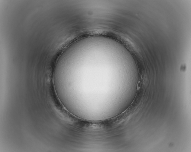 X0000090770546200708172110