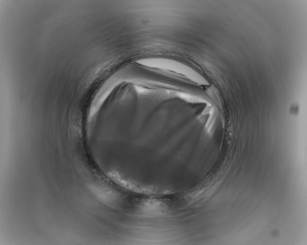 X0000090770547200708172110