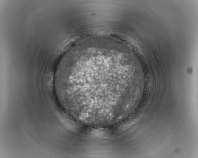 X0000090770550200708172110
