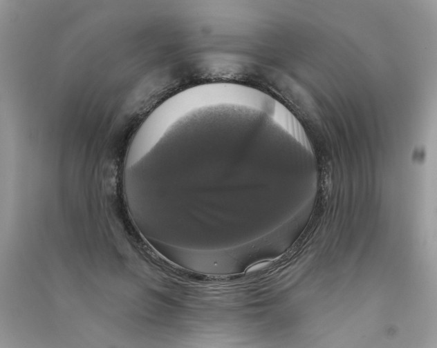 X0000090770551200708172110