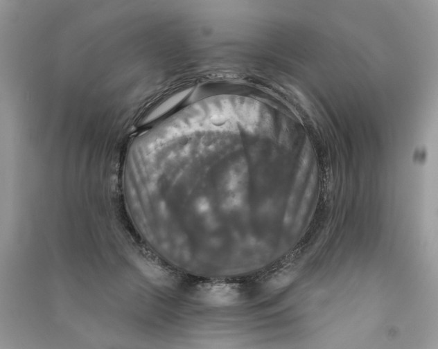 X0000090770553200708172110