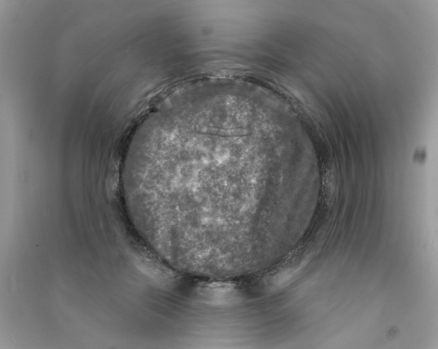 X0000090770554200708172110