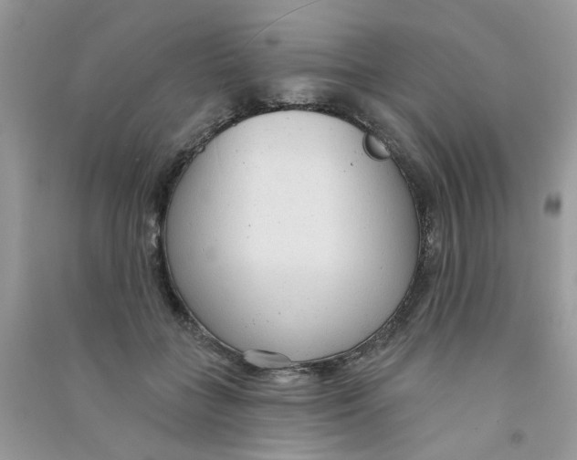 X0000090770555200708172110