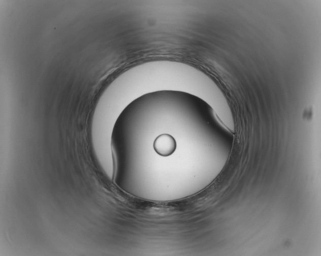 X0000090770556200708172110