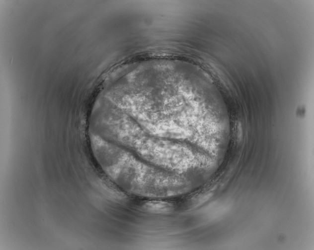 X0000090770557200708172110