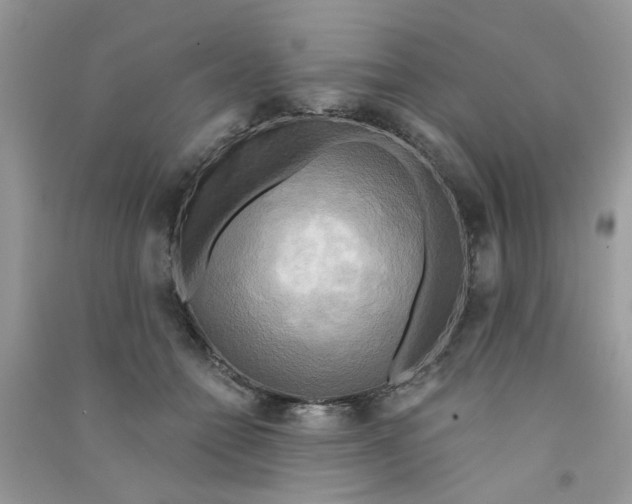 X0000090770558200708172110