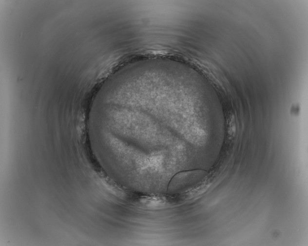 X0000090770559200708172110