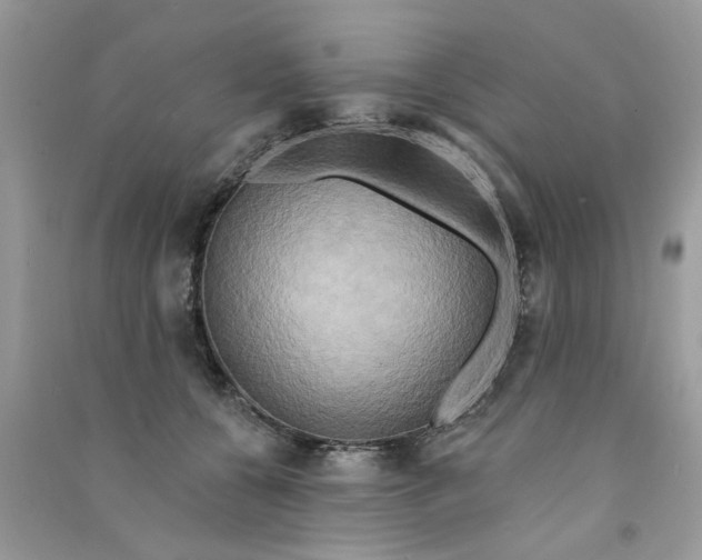 X0000090770560200708172110
