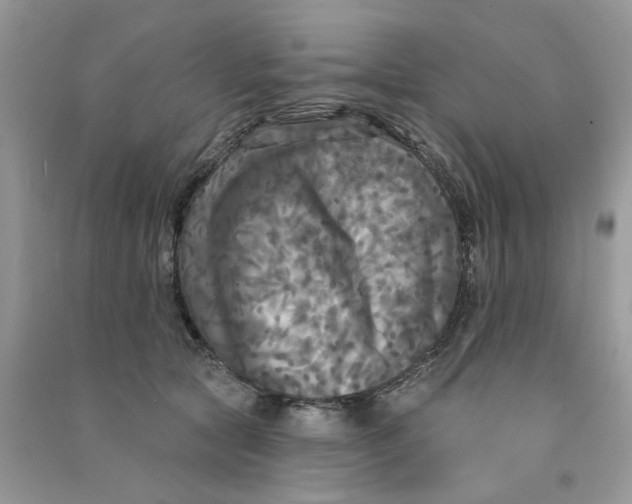 X0000090770561200708172110