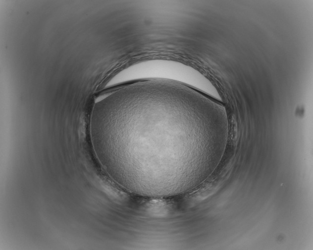 X0000090770562200708172110