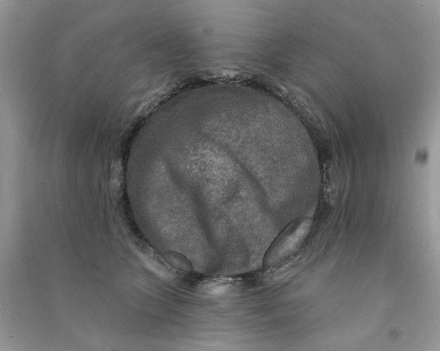X0000090770563200708172110