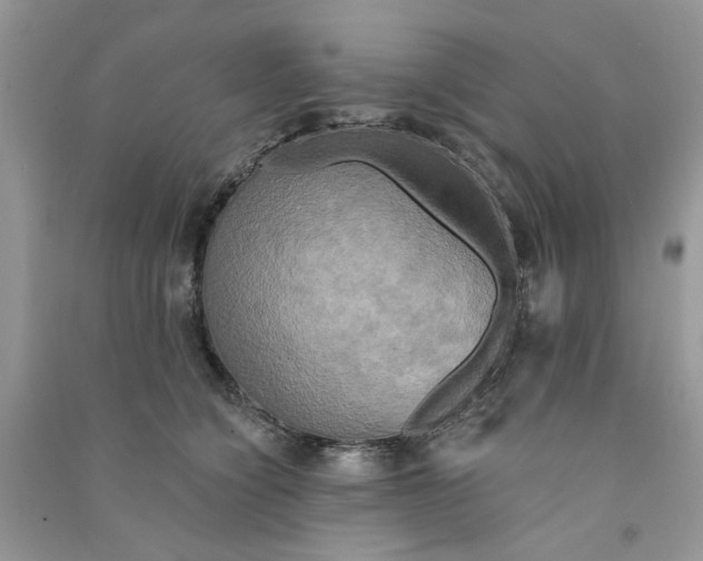 X0000090770564200708172110