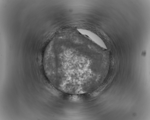 X0000090770565200708172110
