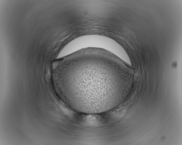 X0000090770566200708172110