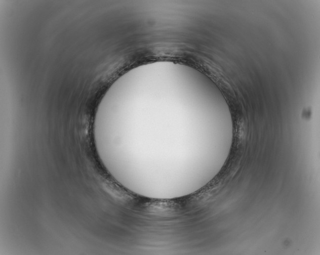 X0000090770567200708172110
