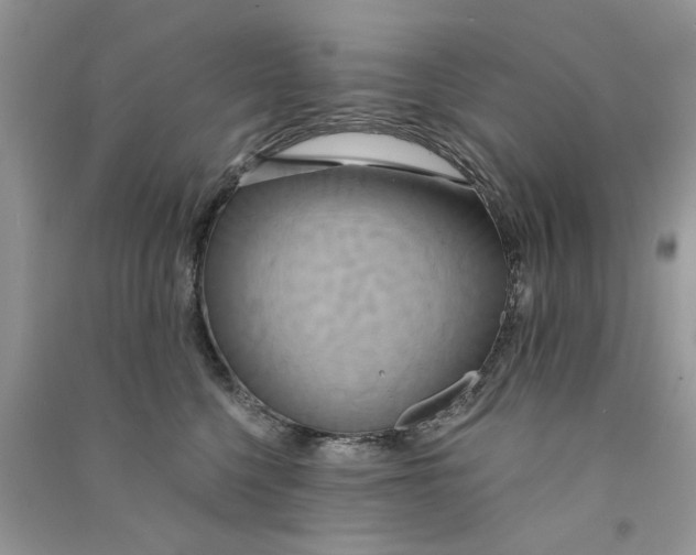 X0000090770568200708172110