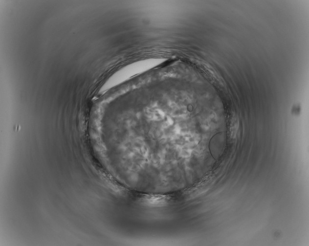 X0000090770569200708172110