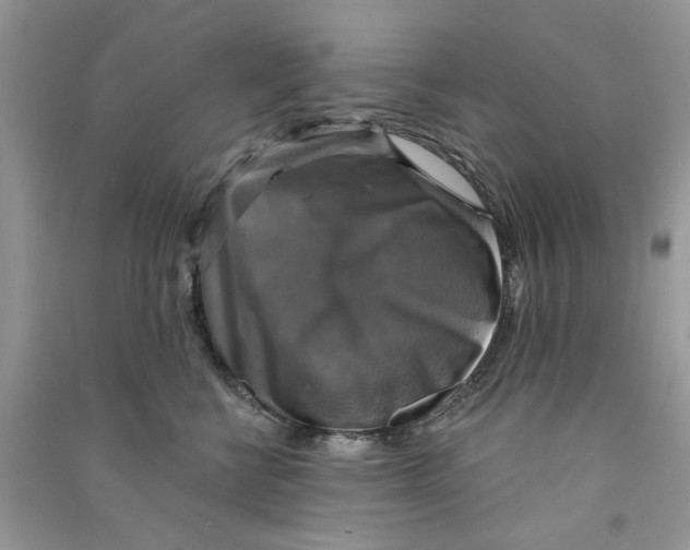 X0000090770570200708172110