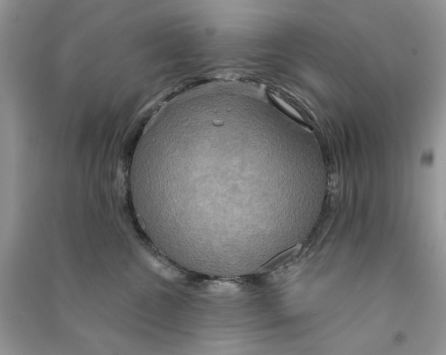 X0000090770572200708172110
