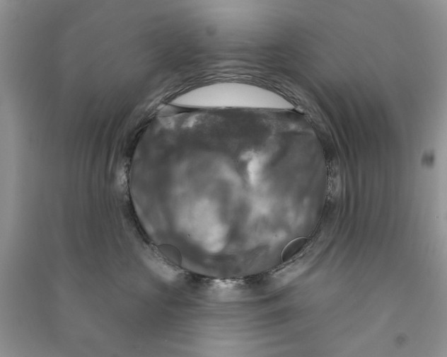 X0000090770573200708172110