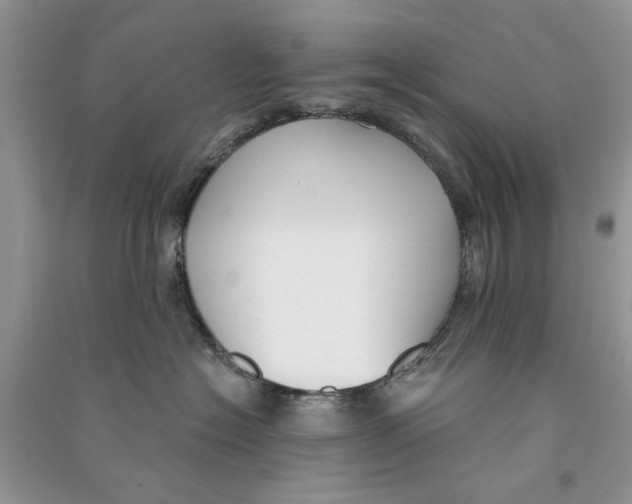 X0000090770574200708172110