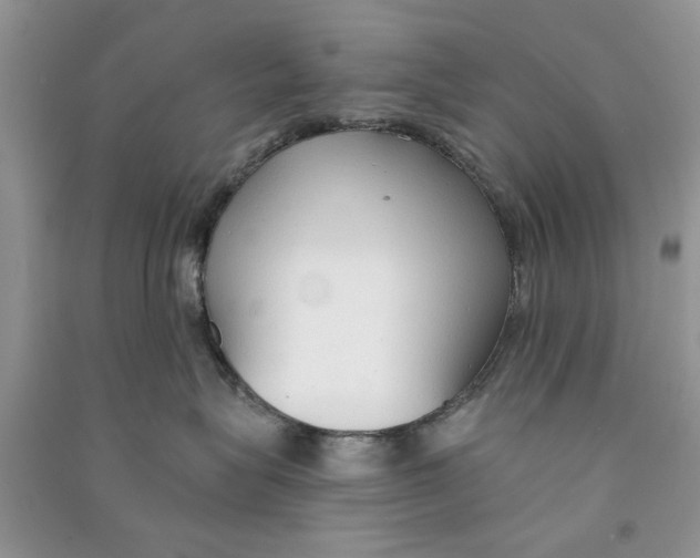 X0000090770575200708172110