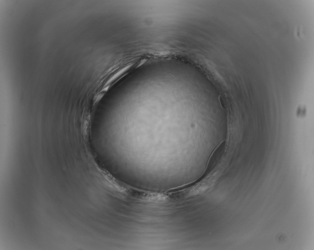 X0000090770576200708172110
