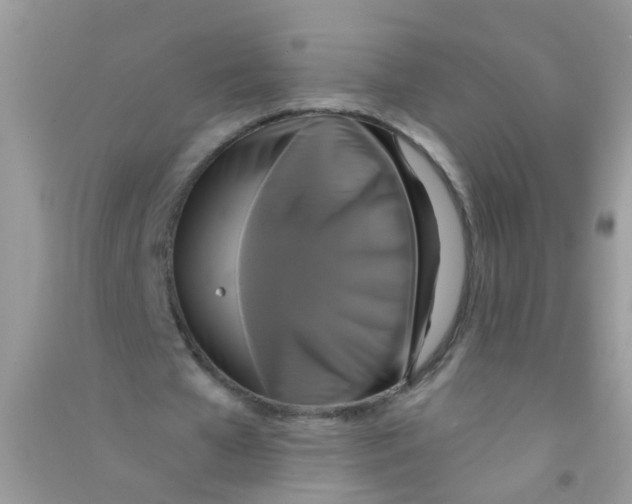 X0000090770577200708172109