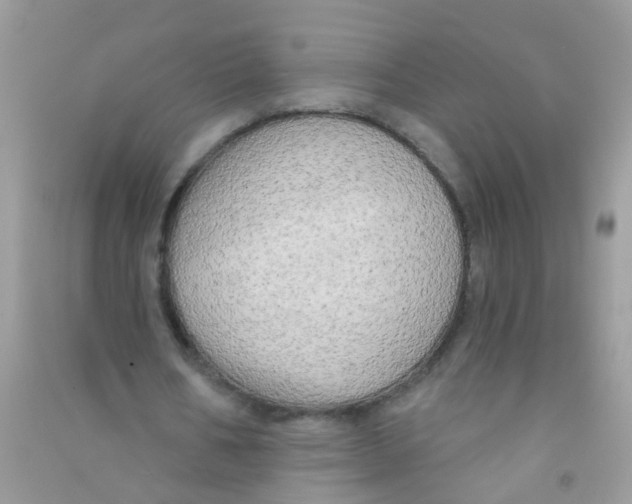 X0000090770578200708172109
