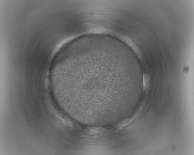 X0000090770579200708172109