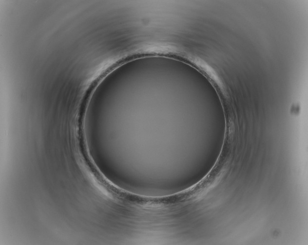X0000090770581200708172109