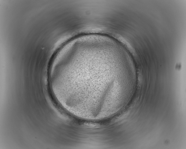 X0000090770582200708172109